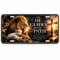 Z117 Car Plates